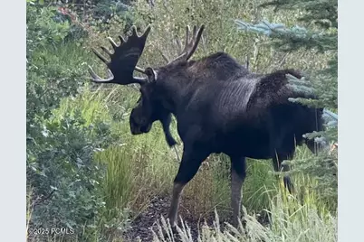 3465 W Cedar Drive #53, Park City, UT 84098 - Photo 38