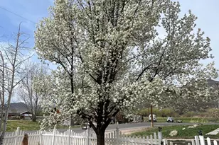 280 W 100, Midway, UT 84049 - Photo 30