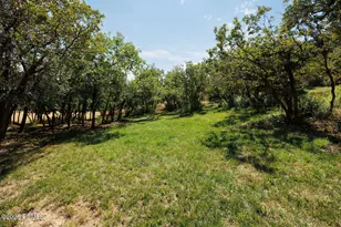 347 Luzern Rd, Midway, UT 84049 - Photo 36