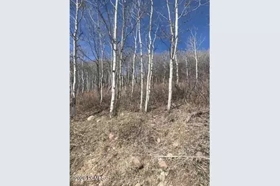 2604 S Forest Meadow Road, Coalville, UT 84017 - Photo 4