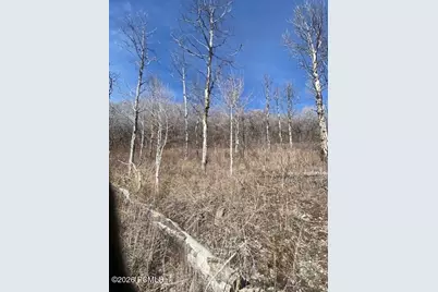 2604 S Forest Meadow Road, Coalville, UT 84017 - Photo 8