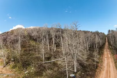 199 Mountain View Road, Oakley, UT 84055 - Photo 2