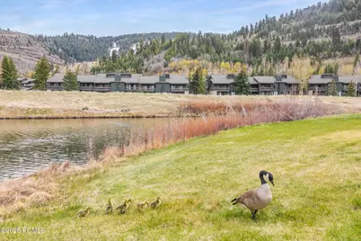 1516 Deer Valley Dr. N #25, Park City, UT 84060 - Photo 14