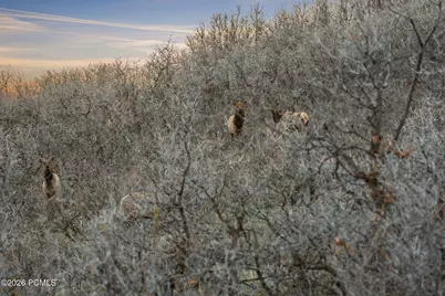 1980 Lower Cove Road, Park City, UT 84098 - Photo 30