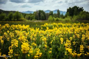 7396 E Moonlight Dr, Heber City, UT 84032 - Photo 44