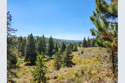 5559 Forest Drive, Kamas, UT 84036 - Photo 16