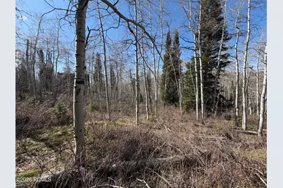 5209 White Pine Circle, Oakley, UT 84055 - Photo 30