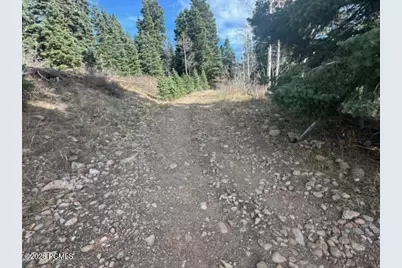 1974 W Elk Road, Coalville, UT 84017 - Photo 16