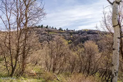 10135 N Kimball Canyon Road, Park City, UT 84098 - Photo 20