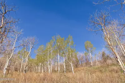10135 N Kimball Canyon Road, Park City, UT 84098 - Photo 4