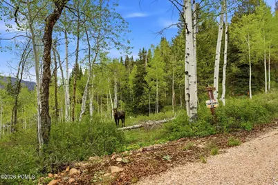 54 E Targhee Drive, Kamas, UT 84036 - Photo 42