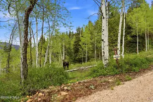 54 E Targhee Dr, Kamas, UT 84036 - Photo 42