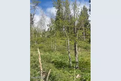 1798 W Alexander Canyon Road, Coalville, UT 84017 - Photo 4
