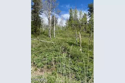 1798 W Alexander Canyon Road, Coalville, UT 84017 - Photo 2