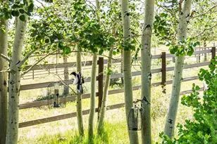 1455 W Red Hawk Trail, Park City, UT 84098 - Photo 86