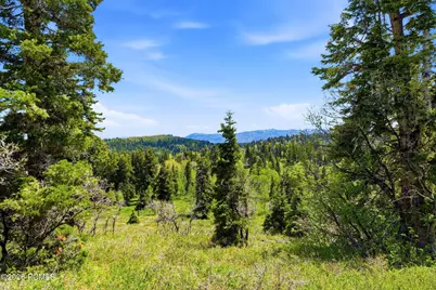 140 W Elk Road, Wanship, UT 84017 - Photo 8