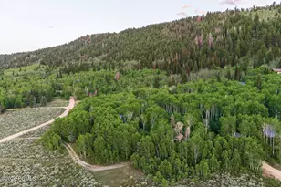 8859 Sage Run Rd, Kamas, UT 84036 - Photo 44
