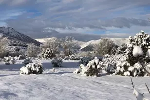 8398 N Hwy 302, Peoa, UT 84061 - Photo 6
