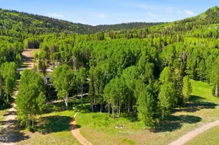 269 White Pne Cyn Rd, Park City, UT 84060 - Photo 30