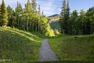 217 White Pne Cyn Rd, Park City, UT 84060 - Photo 50