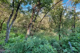 1234 N Maple Ln, Midway, UT 84049 - Photo 4