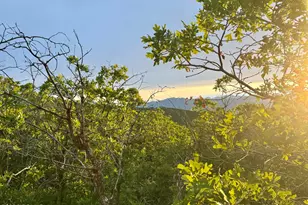 1556 S Tree Top Ln, Heber City, UT 84032 - Photo 1