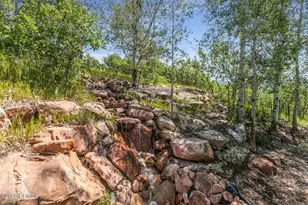 5983 N Maple Rdg Trl, Oakley, UT 84055 - Photo 68