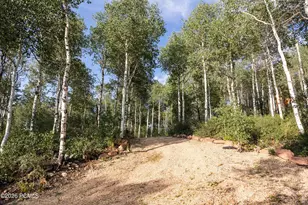 3318 S Forget Me Not Ln, Heber City, UT 84032 - Photo 50