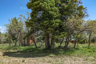 1172 W Maple Place, Coalville, UT 84017 - Photo 14