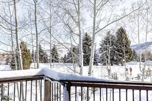 12 Thaynes Canyon Dr, Park City, UT 84060 - Photo 24