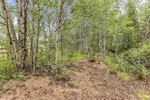 4611 Conifer Dr, Oakley, UT 84055 - Photo 28