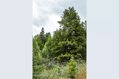 3716 Chokecherry Ln Lane, Kamas, UT 84036 - Photo 36