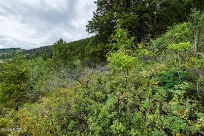3716 Chokecherry Ln Lane, Kamas, UT 84036 - Photo 12