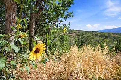3044 S Forest Meadow Road, Coalville, UT 84017 - Photo 18