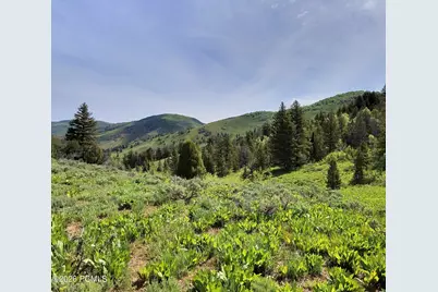40 Sunridge Ranches, Huntsville, UT 84317 - Photo 14