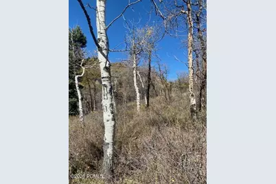 509 W Artist Point Drive, Coalville, UT 84017 - Photo 8