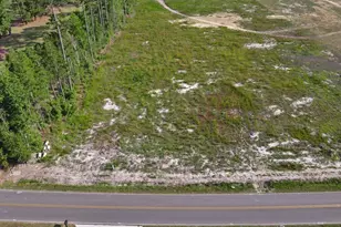 Tbd Antioch Rd, Pikeville, NC 27863 - Photo 4