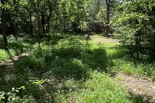 2201 Moorefields Rd, Hillsborough, NC 27278 - Photo 1