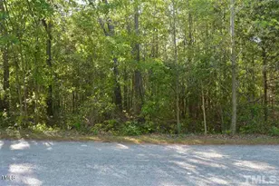 0 Old Stage Rd S, Erwin, NC 28334 - Photo 1