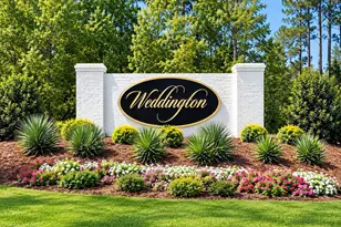 243 Kissington Wy, Benson, NC 27504 - Photo 50