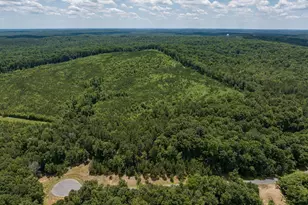 36 Blufftonwood Dr, Pittsboro, NC 27312 - Photo 1