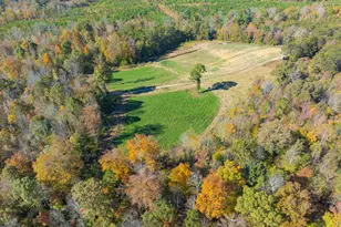 390 Line Creek Farm Rd, Yanceyville, NC 27379 - Photo 76