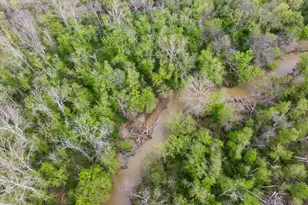 390 Line Creek Farm Rd, Yanceyville, NC 27379 - Photo 96
