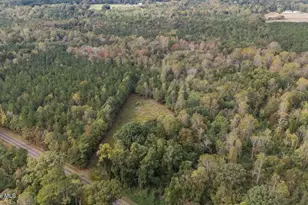 1435 Pineywood Church Rd, Cameron, NC 28326 - Photo 44