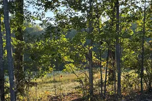 212 Golfers View, Pittsboro, NC 27312 - Photo 22