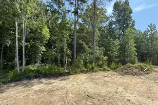 345 Adams Pointe Ct, Angier, NC 27501 - Photo 34