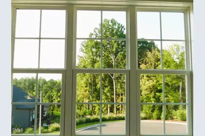 142 Autumn Gate Street, Pittsboro, NC 27312 - Photo 52