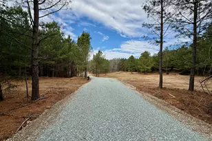 Lot 2 Wolf Tree Way, Efland, NC 27243 - Photo 26