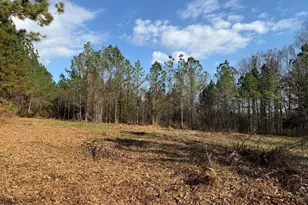 Lot 1 Wolf Tree Way, Efland, NC 27243 - Photo 28