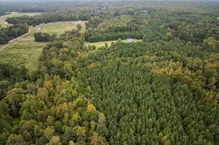 Lot 3 Wolf Tree Way, Efland, NC 27243 - Photo 24